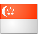 Ng S/Chong E.H.H. flag